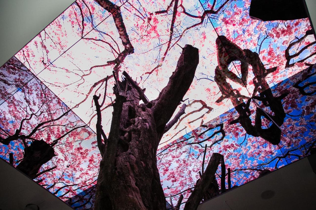 Vista Walkerhill Seoul - Formerly W Seoul Luaran gambar
